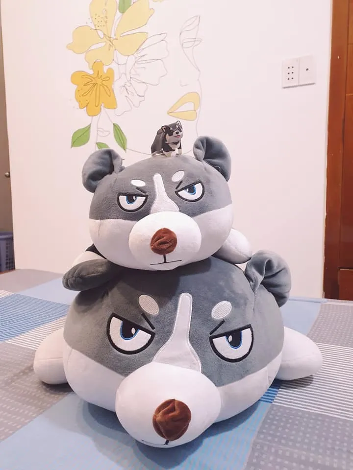 Nghệ Thuật Gấp Giấy