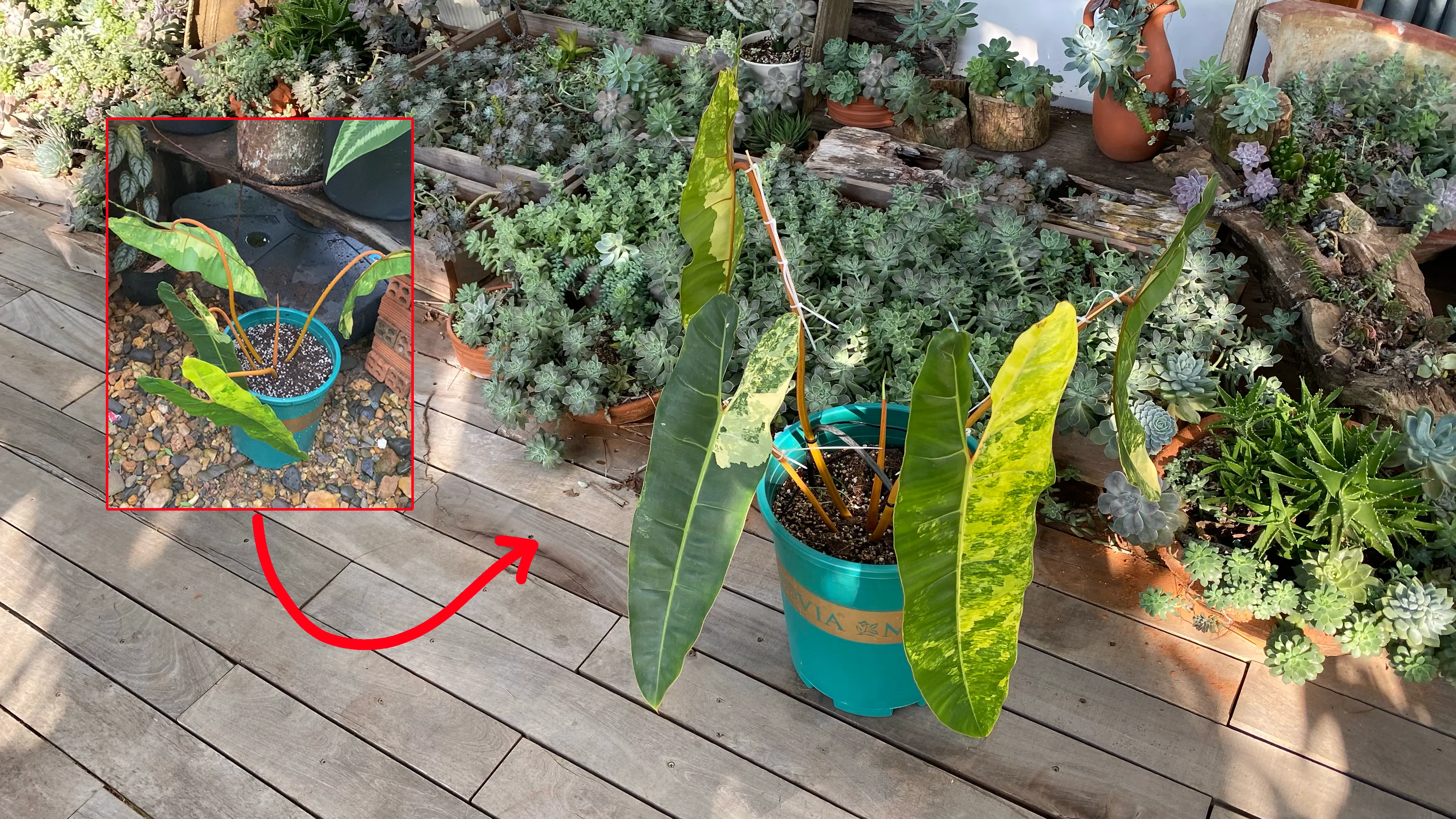 Uốn nắn hay buông lỏng, giới hạn bao nhiêu là đủ để con lớn lên an toàn và thoải mái